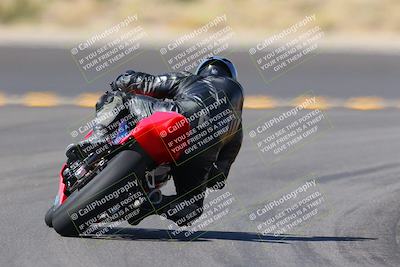 media/Oct-08-2022-SoCal Trackdays (Sat) [[1fc3beec89]]/Turn 11 Backside (1145am)/